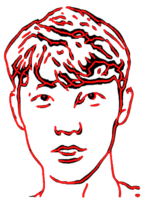 fig: Skeleton extraction process. (a) original, (b) sketch, (c) extracted skeleton, and (d) skeleton overlaid on the sketch image.