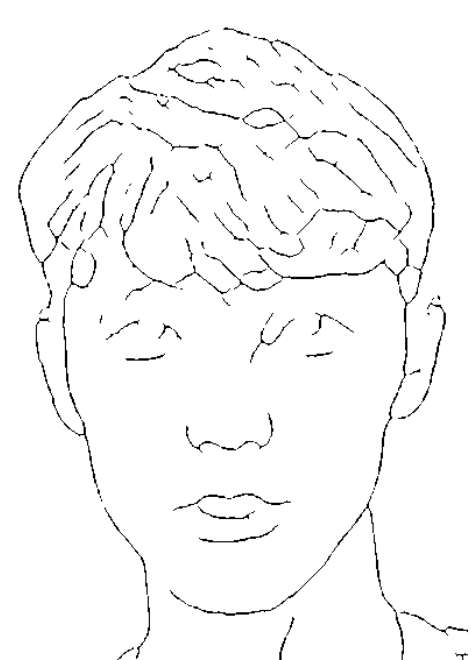 fig: Skeleton extraction process. (a) original, (b) sketch, (c) extracted skeleton, and (d) skeleton overlaid on the sketch image.